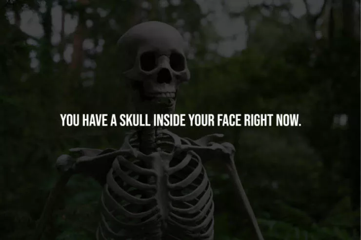 Unsettling truths that will haunt you - #12 
