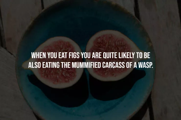 Unsettling truths that will haunt you - #2 
