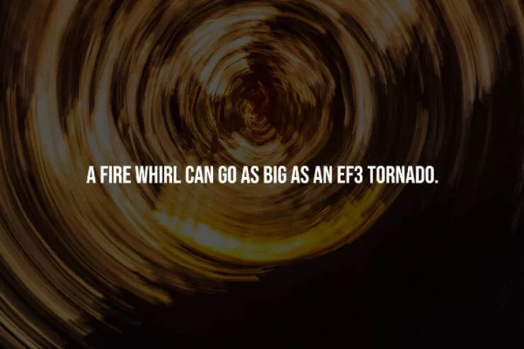 Unsettling truths that will haunt you - #3 