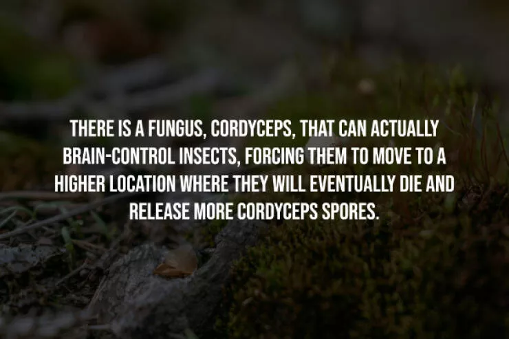 Unsettling truths that will haunt you - #4 
