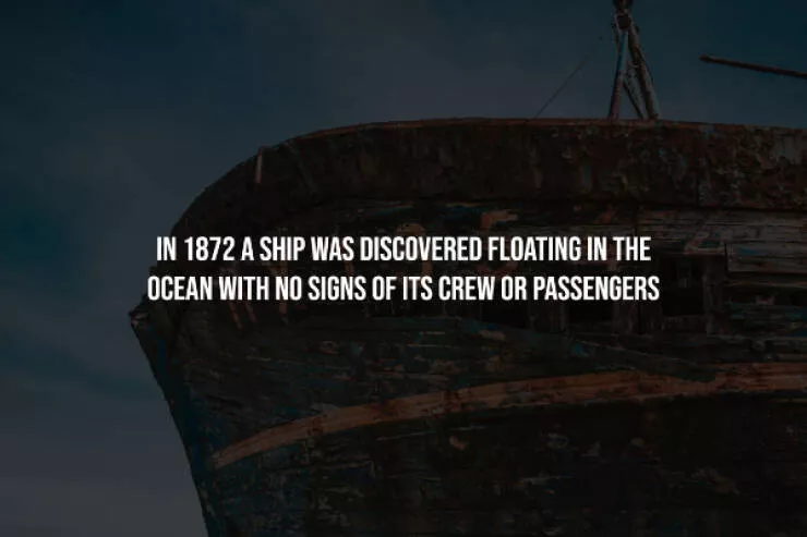 Unsettling truths that will haunt you - #8 