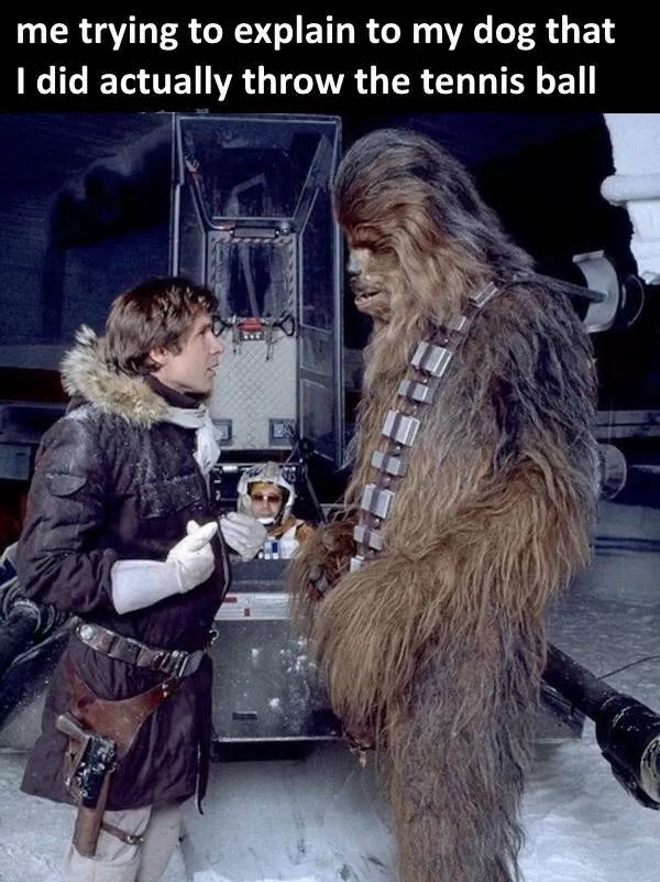 Une galaxie pleine dhumour star wars - #21 