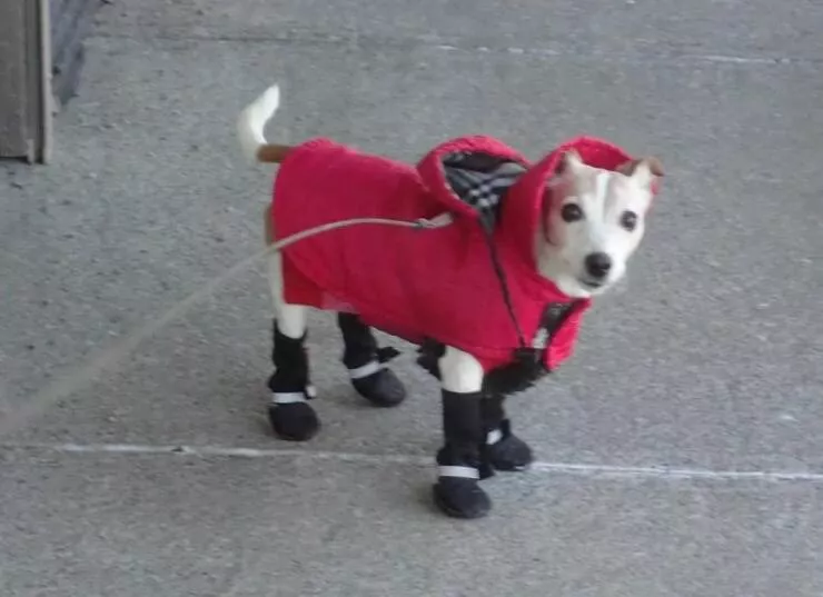 Picdump 1006 - #32 