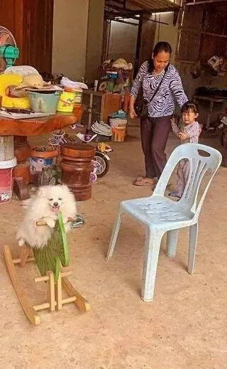 Picdump 1006 - #35 