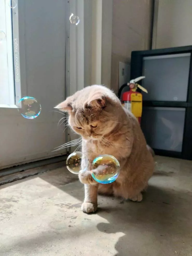 Picdump 1006 - #39 