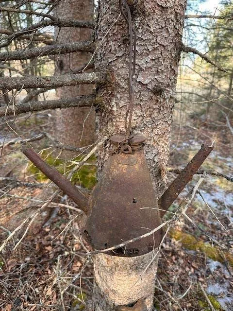 Mysteries solved by the wisdom of the web - #2 Mystery Twin-Spouted Metal Jug Found Hanging in the Minnesota Woods