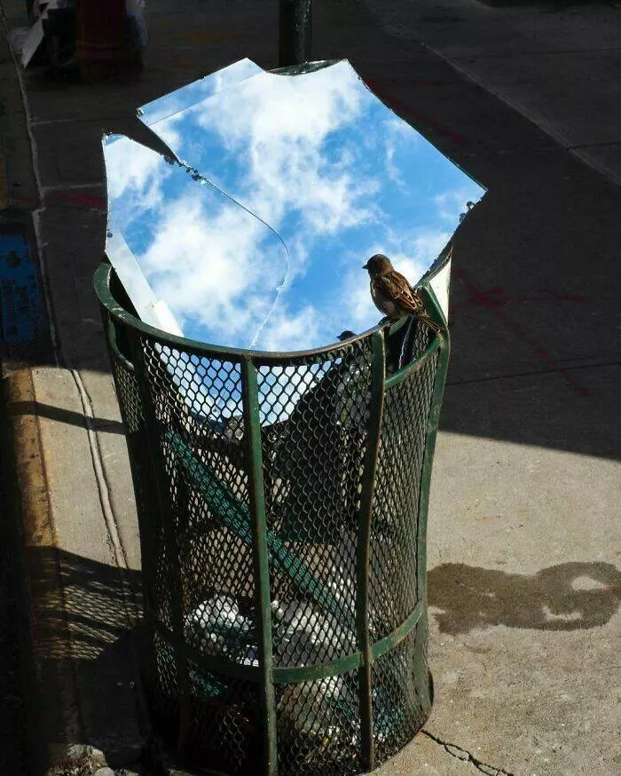 Photos so unreal youd think theyre edited - #14 Someone Literally Tossed the Sky — Into a Bin