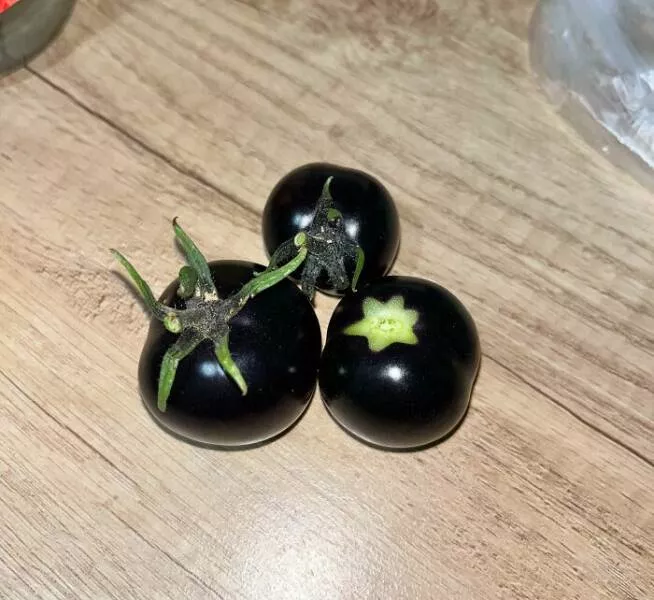 Photos so unreal youd think theyre edited - #19 My Grandpa Grew Jet-Black Tomatoes — And They’re Real