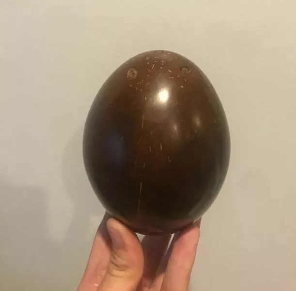 Photos so unreal youd think theyre edited - #22 Ever Seen a Polished Coconut? It Shines Like Marble