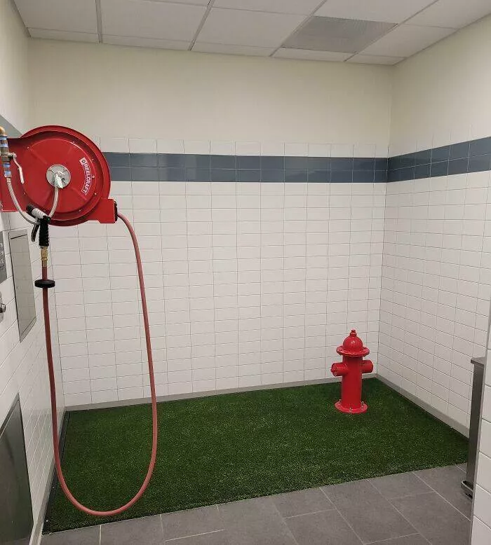 Photos so unreal youd think theyre edited - #24 This Airport Has a Restroom Just for Service Dogs