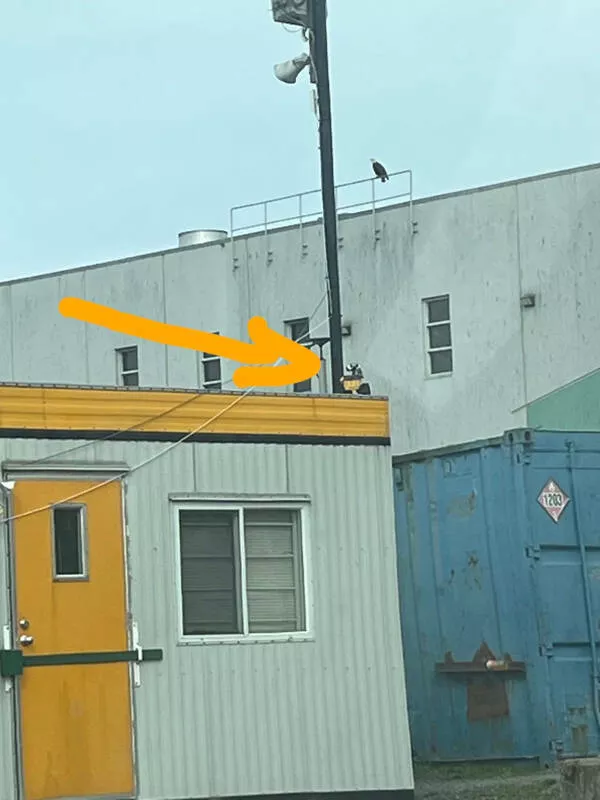 Hunting everyday hidden treasures - #13 Spotted WALL-E at the local dump.