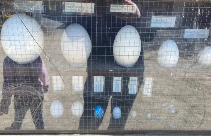 Hunting everyday hidden treasures - #6 A collection of various egg sizes.