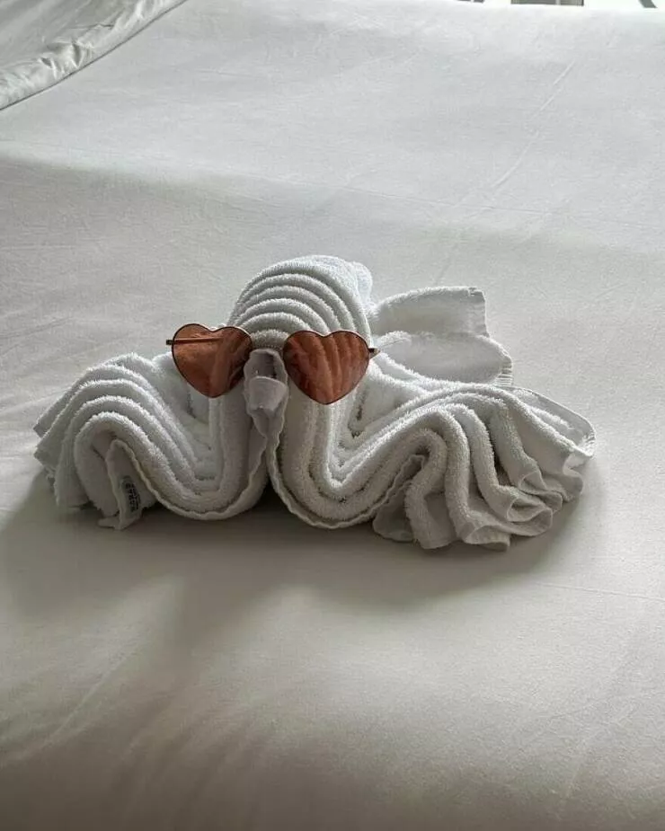 De petits moments qui rechauffent le coeur - #9 De temps en temps, le personnel de l'hôtel surprend les invités en pliant les serviettes en forme d'animaux pendant leur absence.