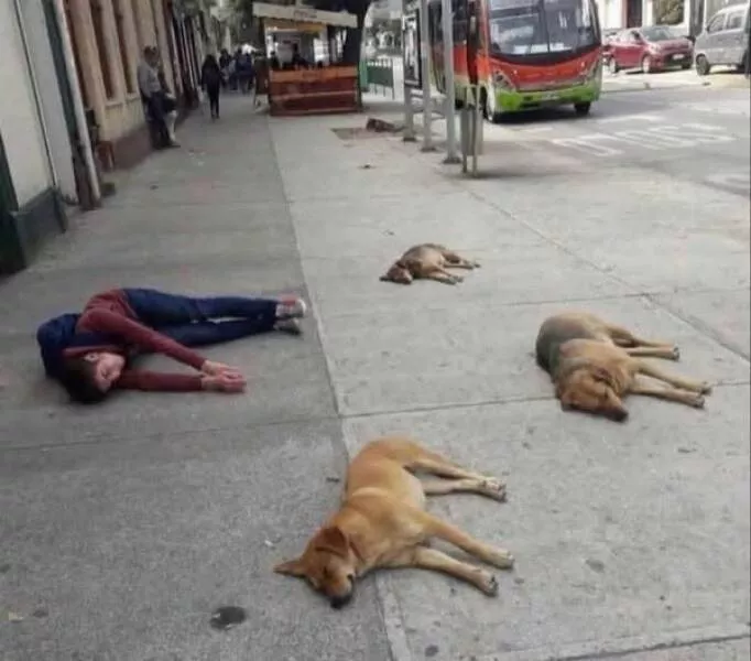 Picdump 1008 - #13 