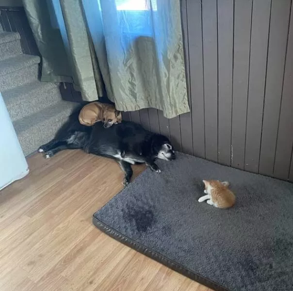 Picdump 1008 - #3 