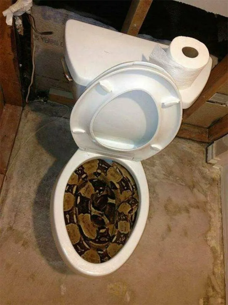 Picdump 1008 - #39 