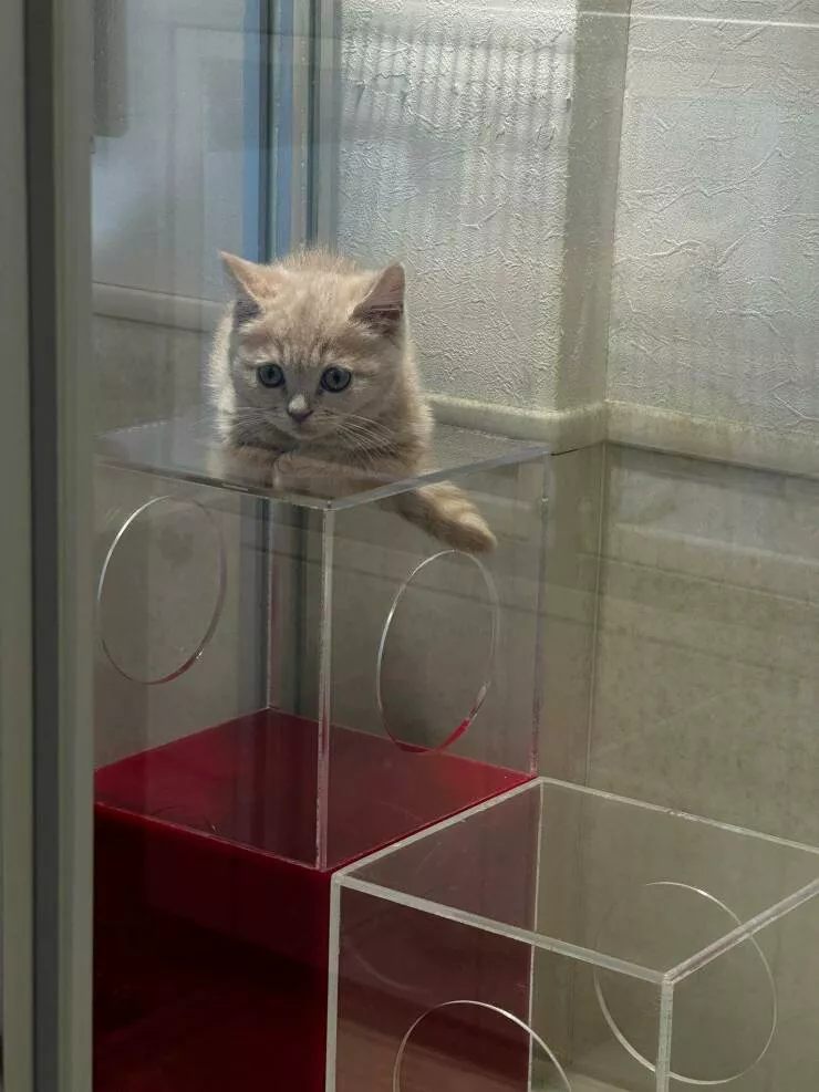Picdump 1008 - #42 