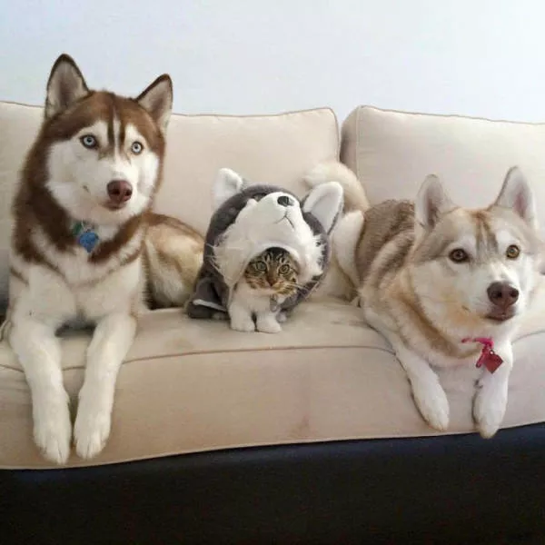 Picdump 124 - #10 