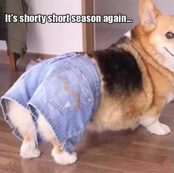 Picdump 124 - #4 
