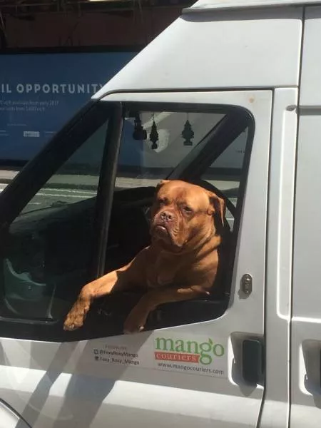 Picdump 124 - #49 