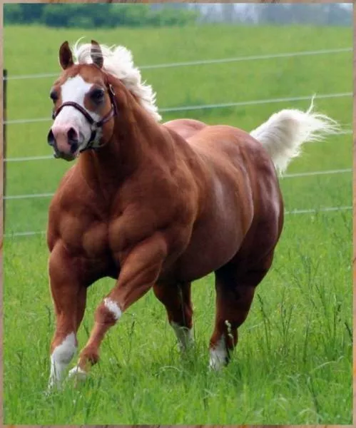 Picdump 124 - #59 