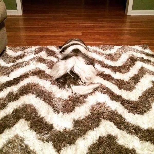 Picdump 124 - #63 