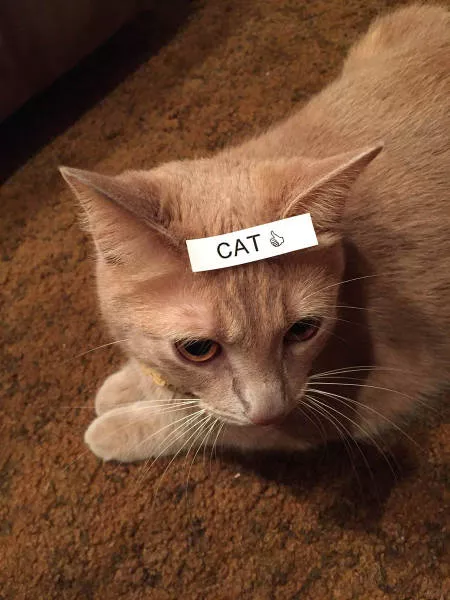 Picdump 124 - #75 