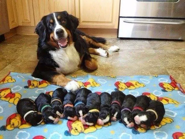 Picdump 124 - #78 