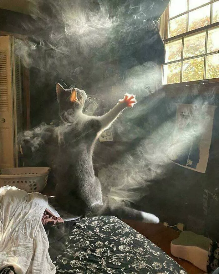 Unforgettable oddities caught on camera - #5 