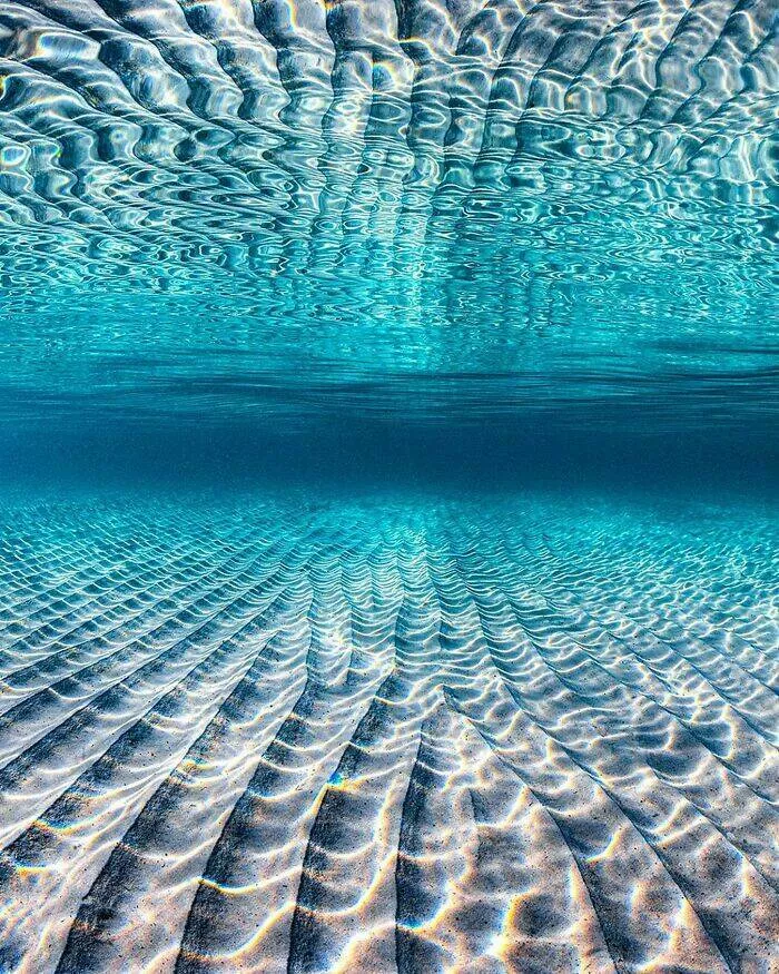 Enchanted wonders of the ocean - #1 