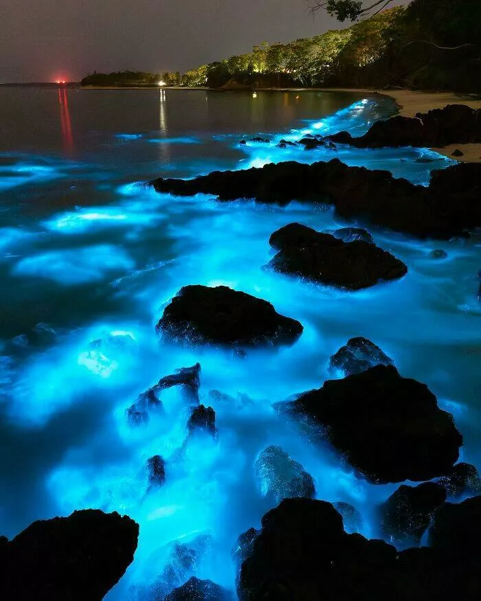 Enchanted wonders of the ocean