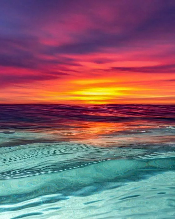 Enchanted wonders of the ocean - #18 
