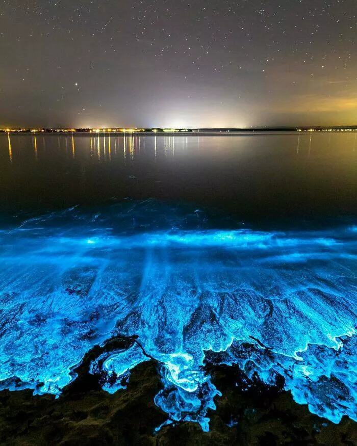 Enchanted wonders of the ocean - #28 
