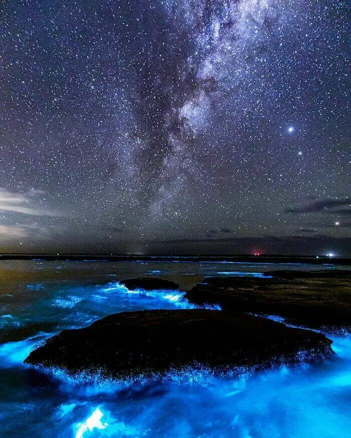 Enchanted wonders of the ocean - #3 