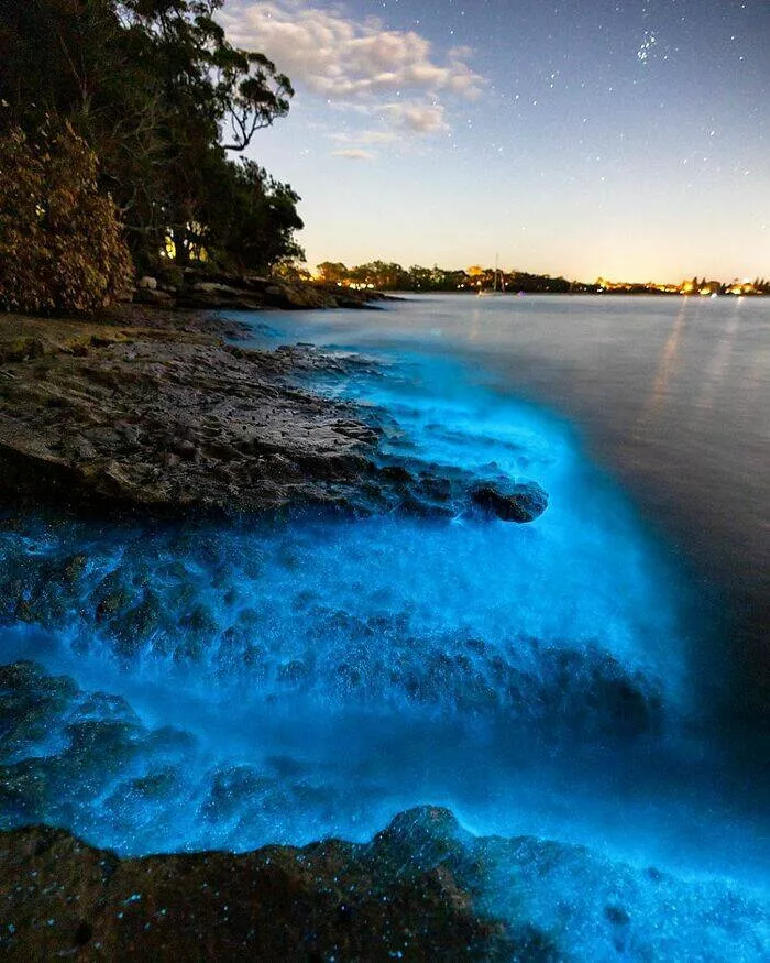 Enchanted wonders of the ocean - #34 