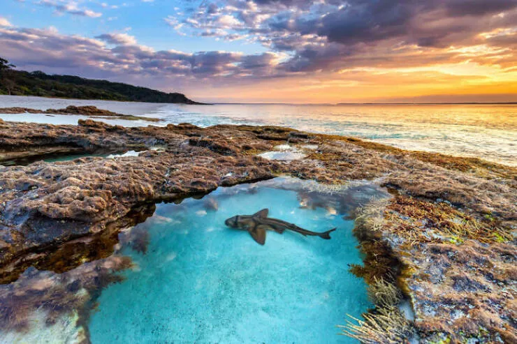 Enchanted wonders of the ocean - #4 