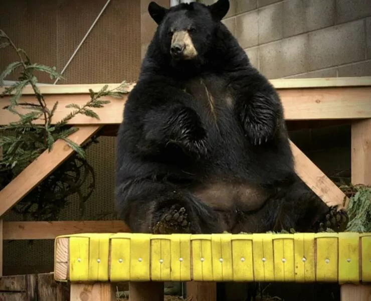 Picdump 1011 - #1 