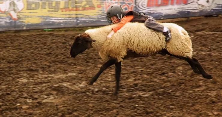 Picdump 1011 - #22 
