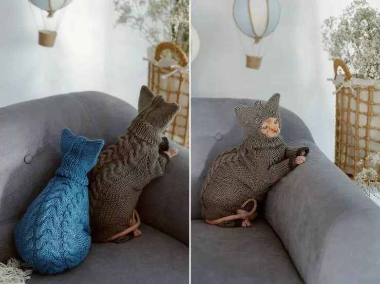 Picdump 1011 - #23 