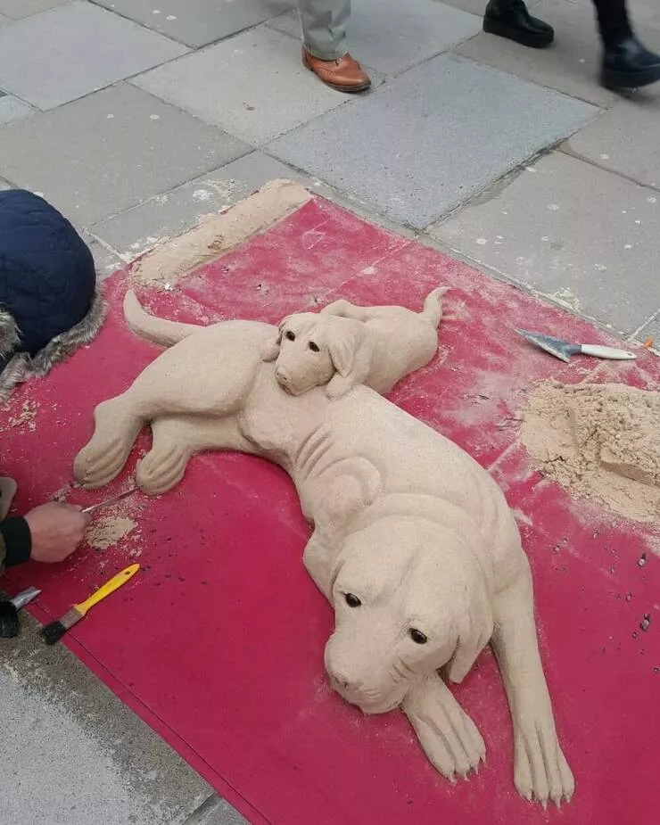 Picdump 1011 - #30 
