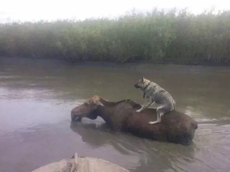 Picdump 1011 - #33 