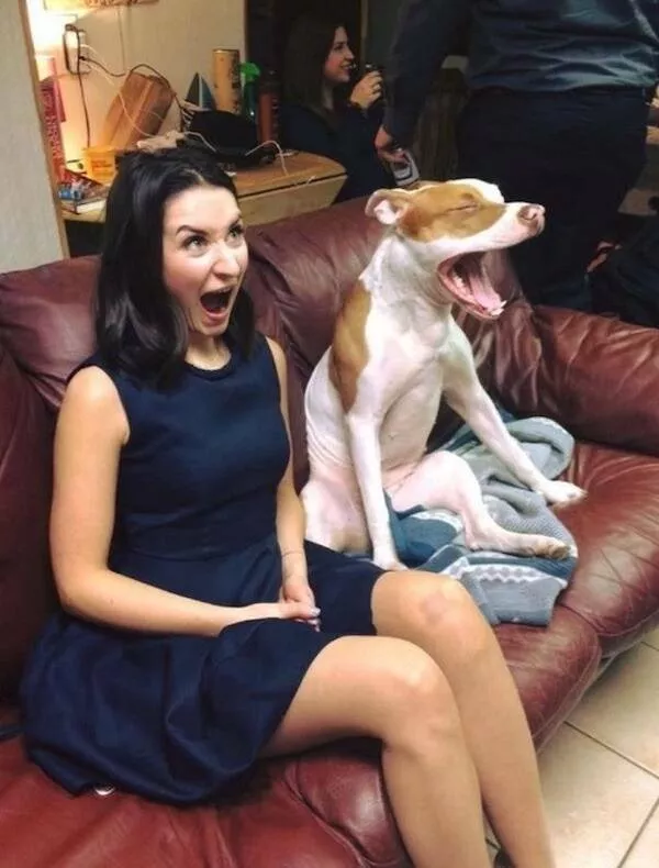 Picdump 1011 - #37 