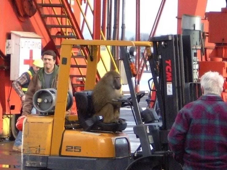 Picdump 1011 - #47 