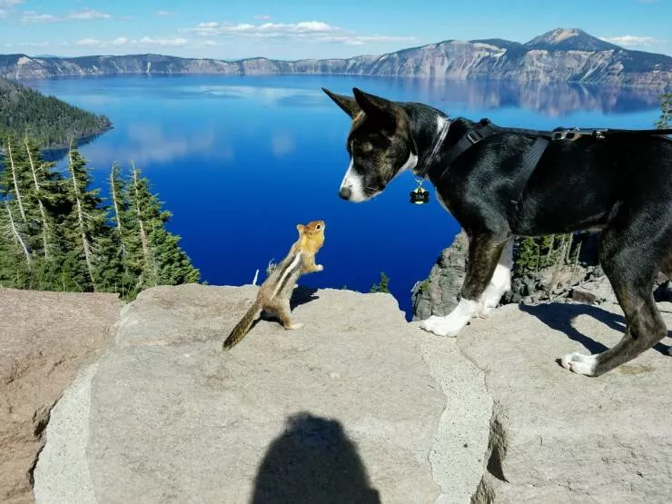 Picdump 1011 - #60 