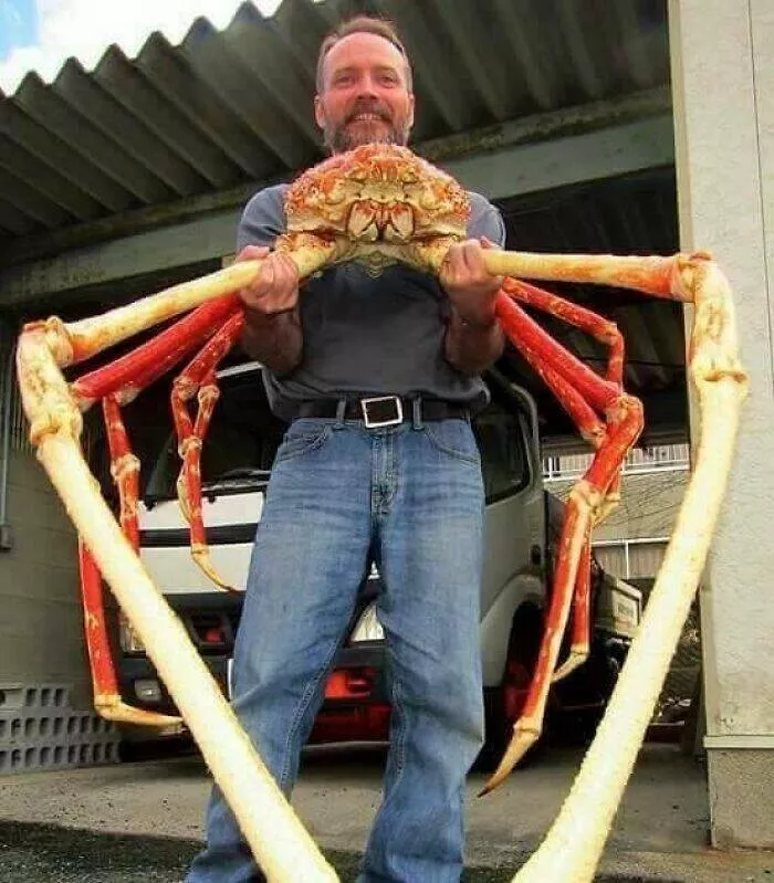 Les mysteres etranges reveles par locean - #16 Crabe géant aperçu au large des côtes japonaises