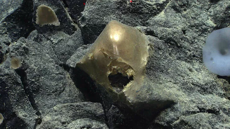 Les mysteres etranges reveles par locean - #26 Sphère dorée trouvée dans le golfe de l’Alaska — toujours sans explication