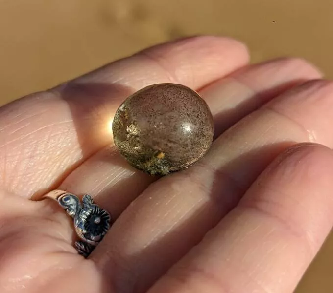 Bizarre ocean finds that surfaced unexpectedly - #28 Unusual Gelatinous Mass Discovered Along The Shores Of Puerto Rico Bizarre ocean finds that surfaced unexpectedly - #28 Unusual Gelatinous Mass Discovered Along The Shores Of Puerto Rico