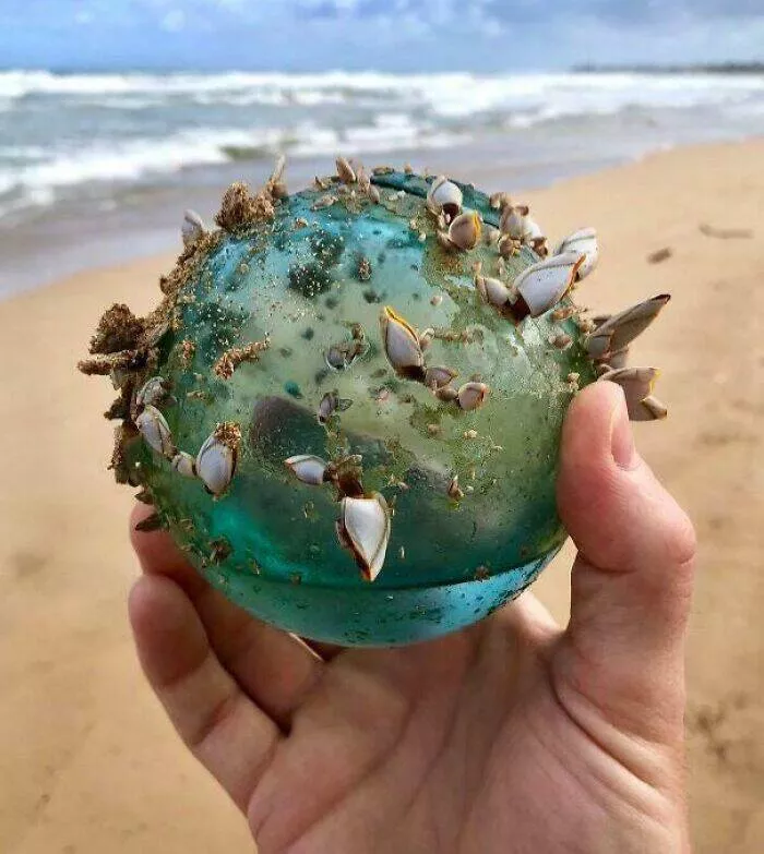 Les mysteres etranges reveles par locean - #4 Repéré cet objet étrange au bord de l’océan