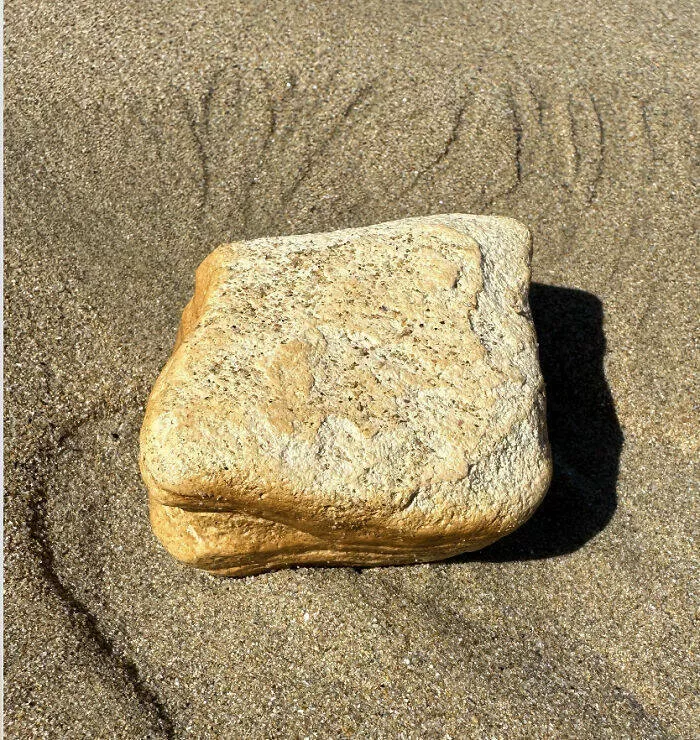 Bizarre ocean finds that surfaced unexpectedly - #8 Came Across A Rock That Looks Exactly Like A Sandwich On The Beach