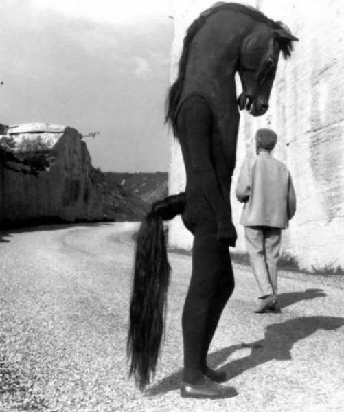 Top 40 photos les plus wtf jamais vues - #10 